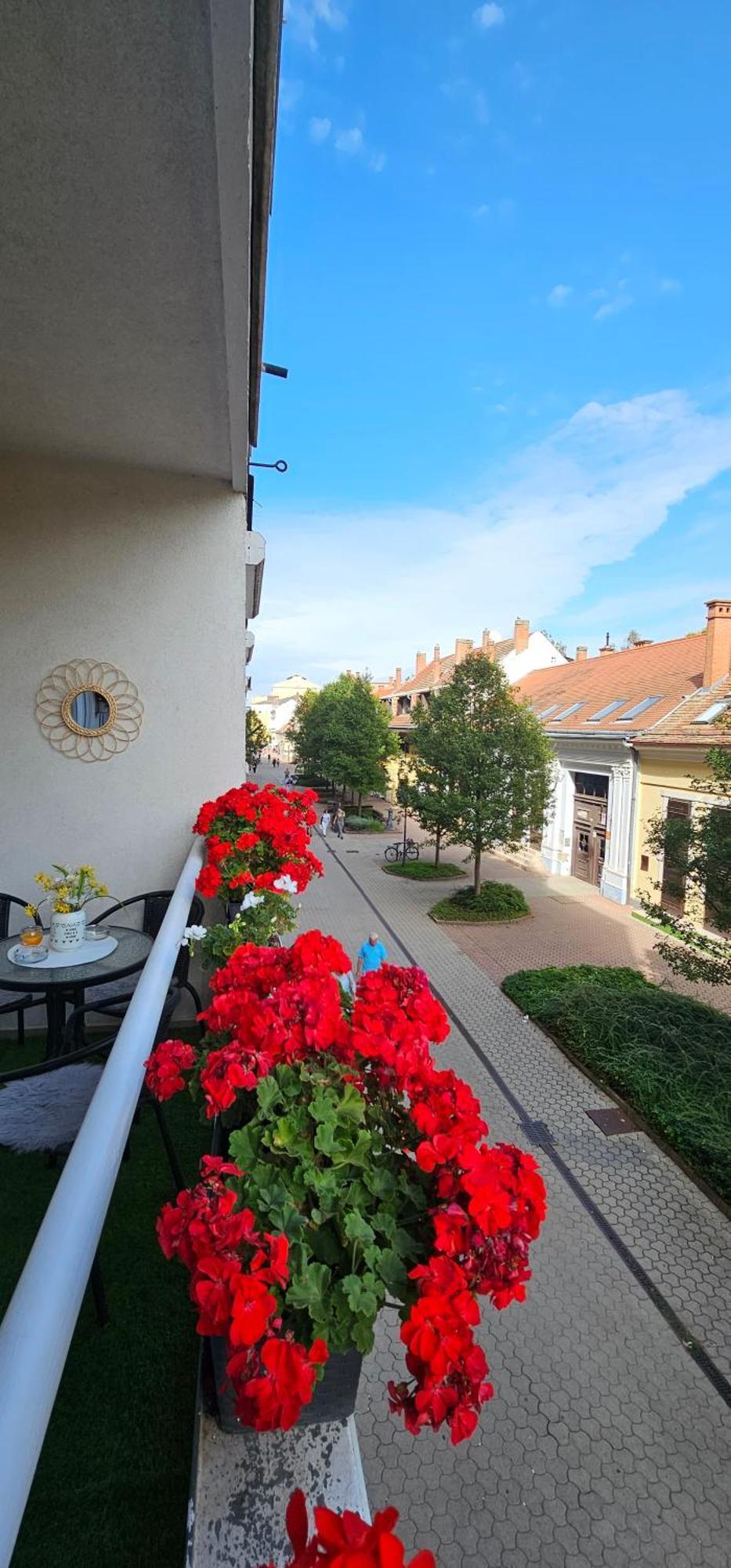 Anna Gyoengye Apartman Debrecen Extérieur photo